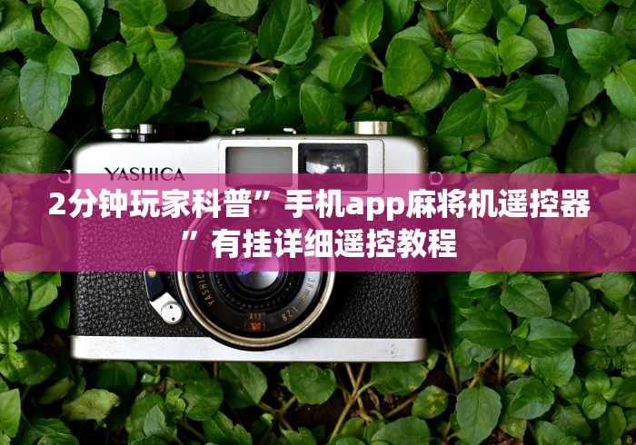 全网解答|“河南麻将机遥控器（控牌器免安装神器）