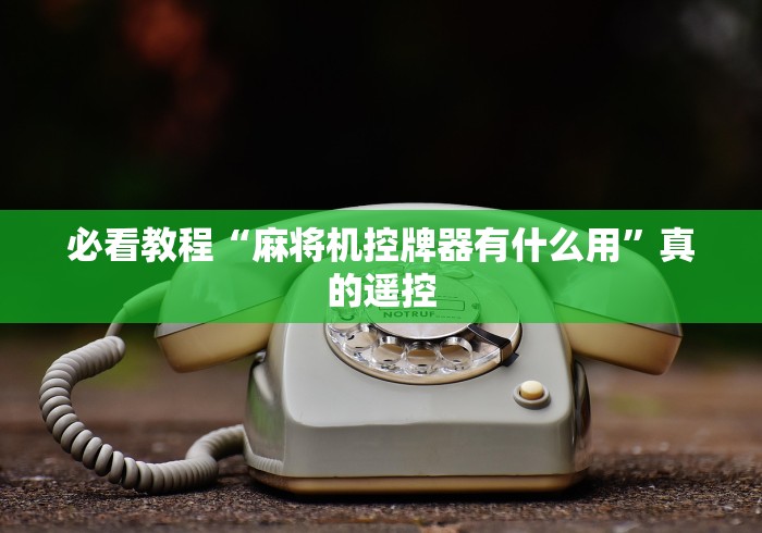 盘点"麻将机程控器免安装教程”(辅助插件下载教程) 盘点"麻将机程控器免安装教程”(辅助插件下载教程)