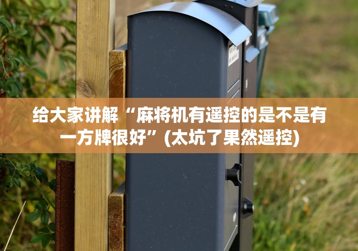 给大家讲解“麻将机有遥控的是不是有一方牌很好”(太坑了果然遥控)