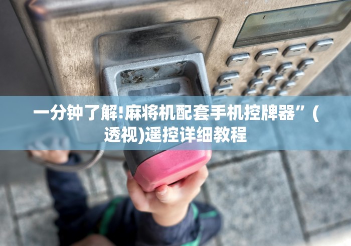 一分钟揭秘“麻将机程序控牌器主板批发”原来可以遥控