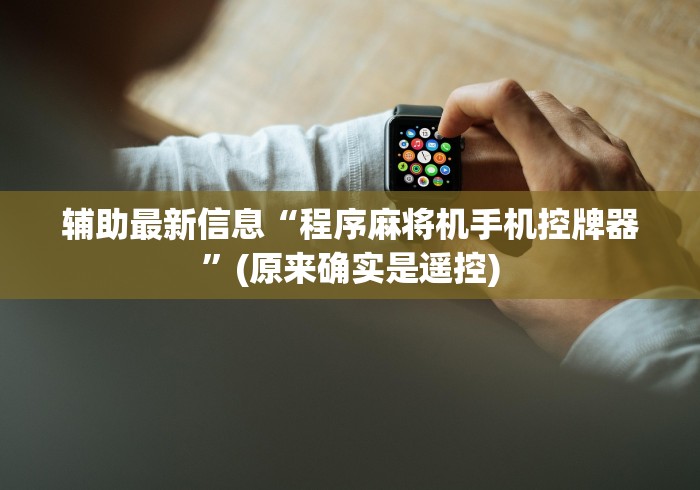 两分钟了解免安装麻将机程序控牌器”（辅助插件下载教程）