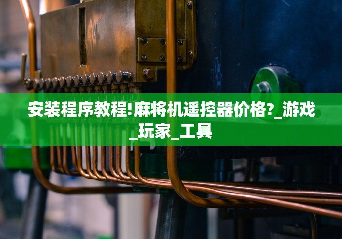 安装程序教程!麻将机遥控器价格?_游戏_玩家_工具