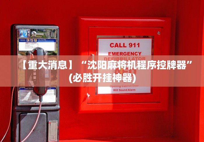 【重大消息】“沈阳麻将机程序控牌器”(必胜开挂神器)