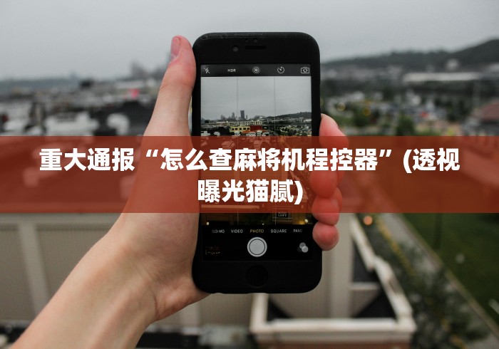 重大通报“怎么查麻将机程控器”(透视曝光猫腻) 重大通报“怎么查麻将机程控器”(透视曝光猫腻)