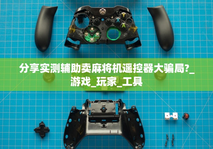 分享实测辅助卖麻将机遥控器大骗局?_游戏_玩家_工具