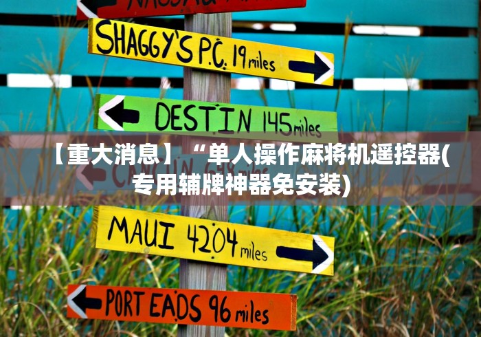 【重大消息】“单人操作麻将机遥控器(专用辅牌神器免安装)