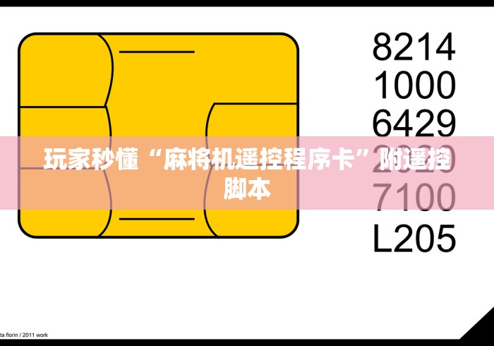 玩家秒懂“麻将机遥控程序卡”附遥控脚本
