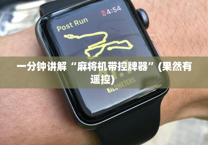 一分钟讲解“麻将机带控牌器”(果然有遥控) 