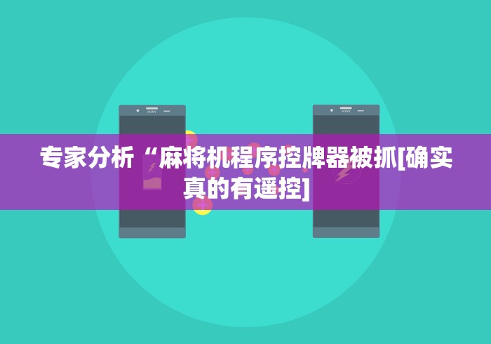 专家分析“麻将机程序控牌器被抓[确实真的有遥控]