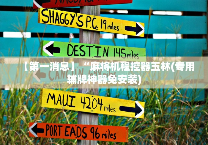 【第一消息】“麻将机程控器玉林(专用辅牌神器免安装)