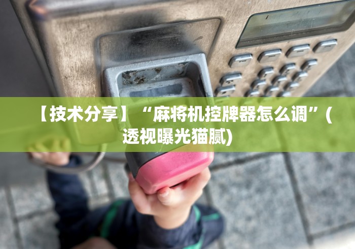【技术分享】“麻将机控牌器怎么调”(透视曝光猫腻) 【技术分享】“麻将机控牌器怎么调”(透视曝光猫腻)