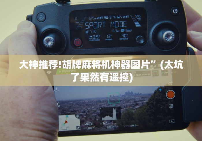 大神推荐!胡牌麻将机神器图片”(太坑了果然有遥控)