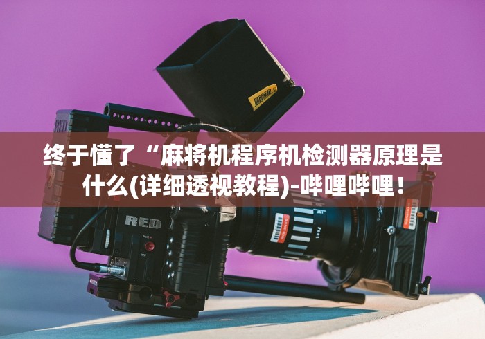 终于懂了“麻将机程序机检测器原理是什么(详细透视教程)-哔哩哔哩！