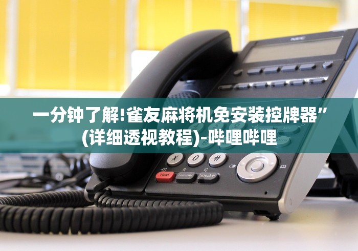 一分钟了解!雀友麻将机免安装控牌器”(详细透视教程)-哔哩哔哩 一分钟了解!雀友麻将机免安装控牌器”(详细透视教程)-哔哩哔哩