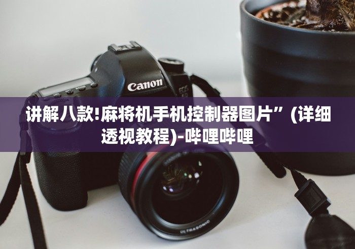 讲解八款!麻将机手机控制器图片”(详细透视教程)-哔哩哔哩
