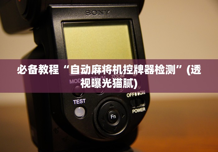 实测教程“免安装自动程序麻将机”通用版下载教程