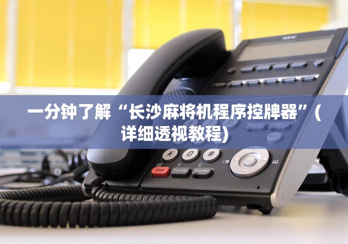 3分钟教程“麻将机专用程控器”(确实真的遥控)