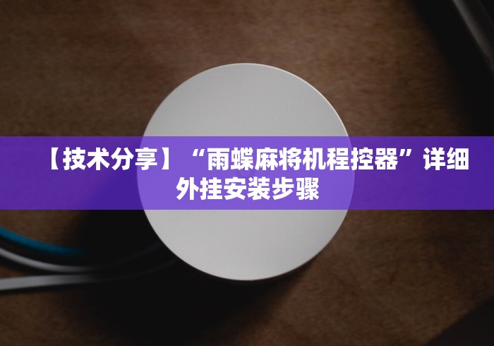 【技术分享】“雨蝶麻将机程控器”详细外挂安装步骤