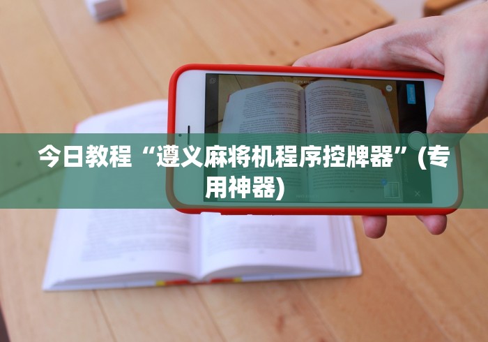 今日教程“遵义麻将机程序控牌器”(专用神器)