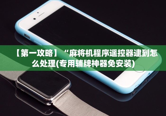 【第一攻略】“麻将机程序遥控器逮到怎么处理(专用辅牌神器免安装)