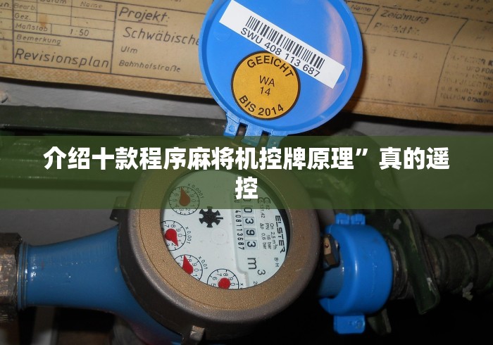 介绍十款程序麻将机控牌原理”真的遥控