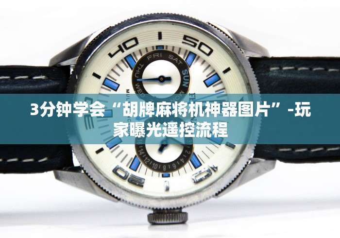 3分钟学会“胡牌麻将机神器图片”-玩家曝光遥控流程