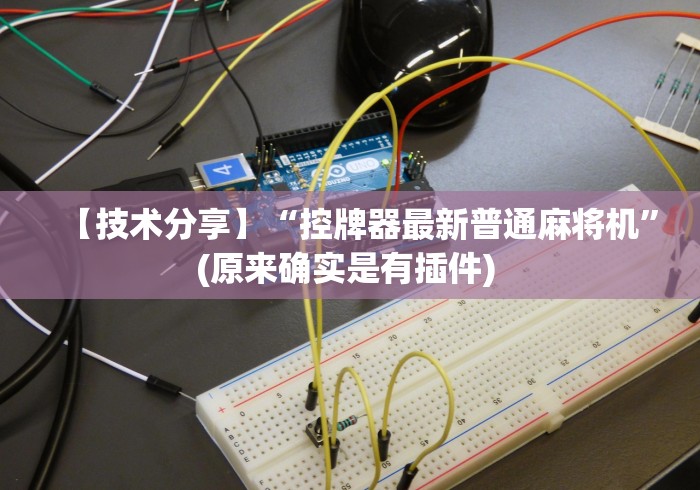 【技术分享】“控牌器最新普通麻将机”(原来确实是有插件) 【技术分享】“控牌器最新普通麻将机”(原来确实是有插件)
