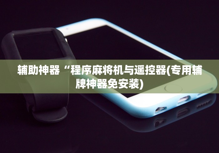 辅助神器“程序麻将机与遥控器(专用辅牌神器免安装) 辅助神器“程序麻将机与遥控器(专用辅牌神器免安装)