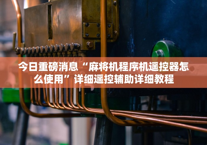 今日重磅消息“麻将机程序机遥控器怎么使用”详细遥控辅助详细教程 今日重磅消息“麻将机程序机遥控器怎么使用”详细遥控辅助详细教程