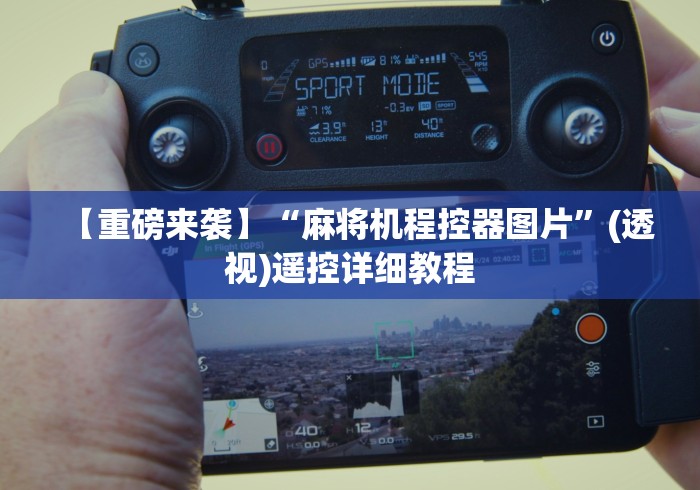 独家解答“麻将机遥控针头安装图”分享用遥控教程 独家解答“麻将机遥控针头安装图”分享用遥控教程