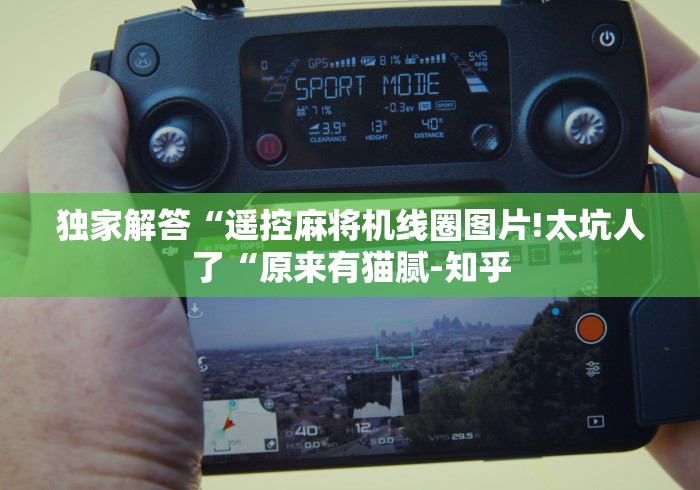 独家解答“遥控麻将机线圈图片!太坑人了“原来有猫腻-知乎
