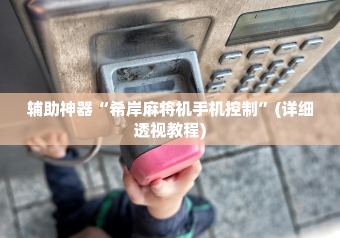 实测教程“最新免安装麻将机控牌器”（详细透视教程）-哔哩哔哩