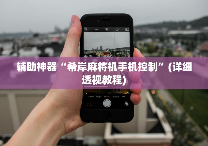 辅助神器“希岸麻将机手机控制”(详细透视教程)