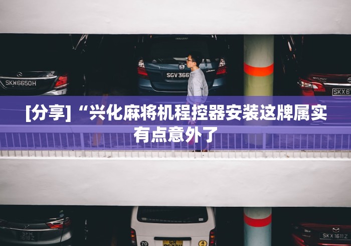 [分享]“兴化麻将机程控器安装这牌属实有点意外了