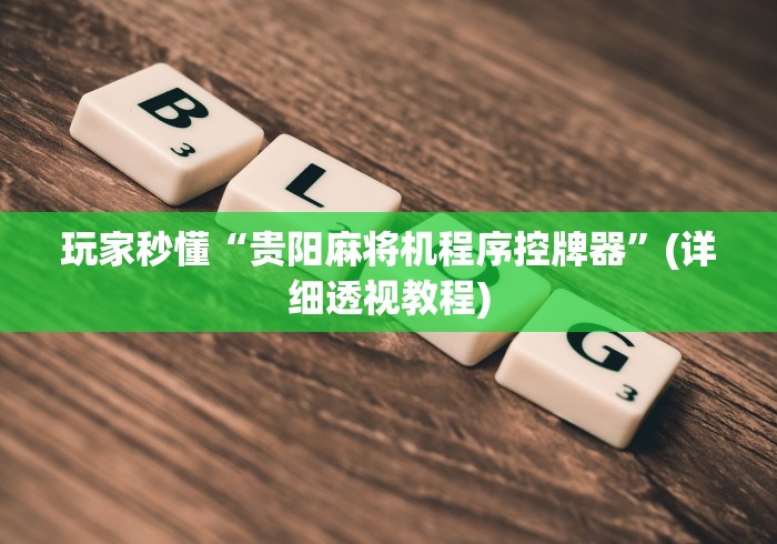 玩家秒懂“贵阳麻将机程序控牌器”(详细透视教程)