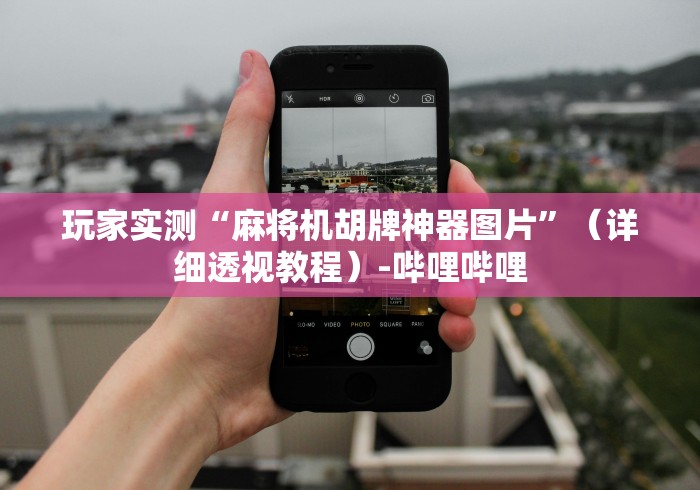 玩家实测“麻将机胡牌神器图片”(详细透视教程)-哔哩哔哩 玩家实测“麻将机胡牌神器图片”(详细透视教程)-哔哩哔哩