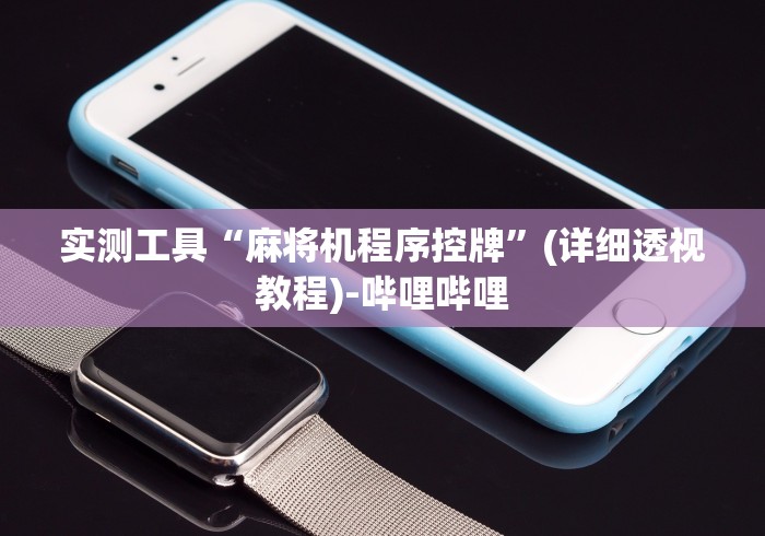 实测工具“麻将机程序控牌”(详细透视教程)-哔哩哔哩