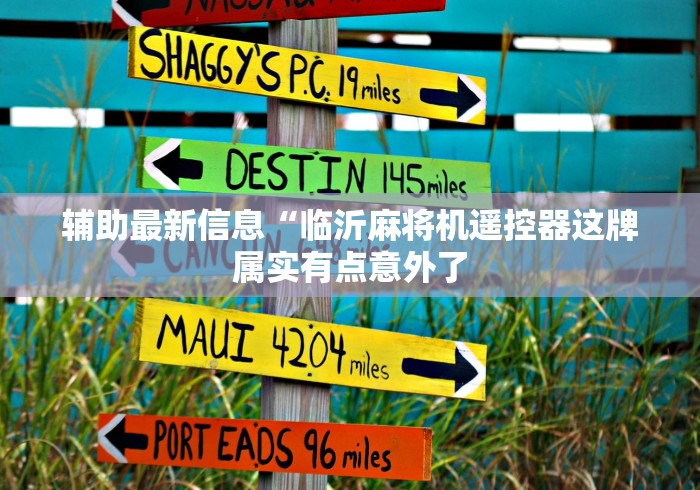 辅助最新信息“临沂麻将机遥控器这牌属实有点意外了