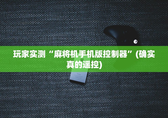 玩家实测“麻将机手机版控制器”(确实真的遥控) 玩家实测“麻将机手机版控制器”(确实真的遥控)
