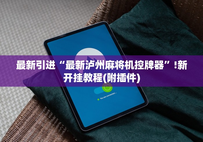 最新引进“最新泸州麻将机控牌器”!新开挂教程(附插件)