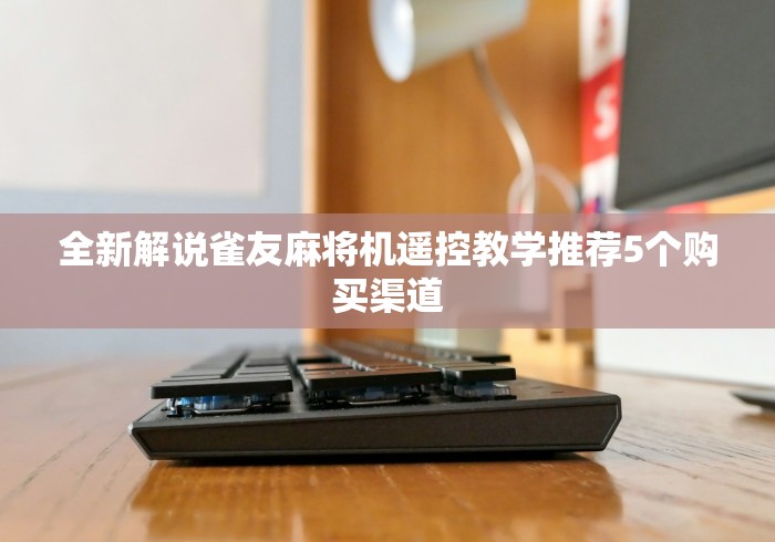 全新解说雀友麻将机遥控教学推荐5个购买渠道