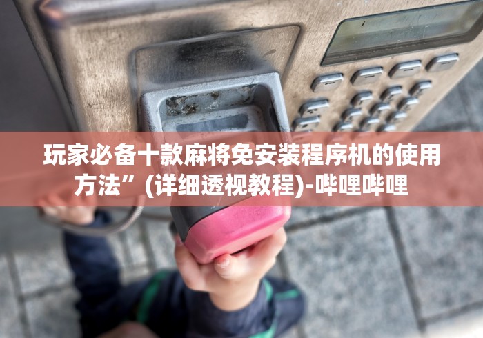 玩家必备十款麻将免安装程序机的使用方法”(详细透视教程)-哔哩哔哩