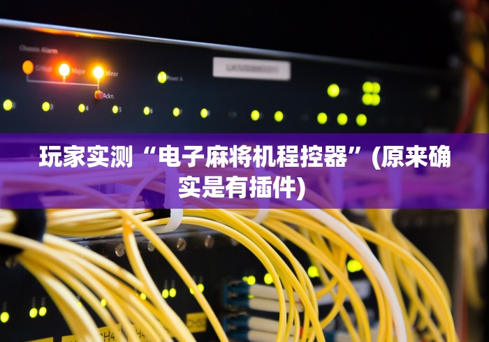 玩家实测“电子麻将机程控器”(原来确实是有插件) 