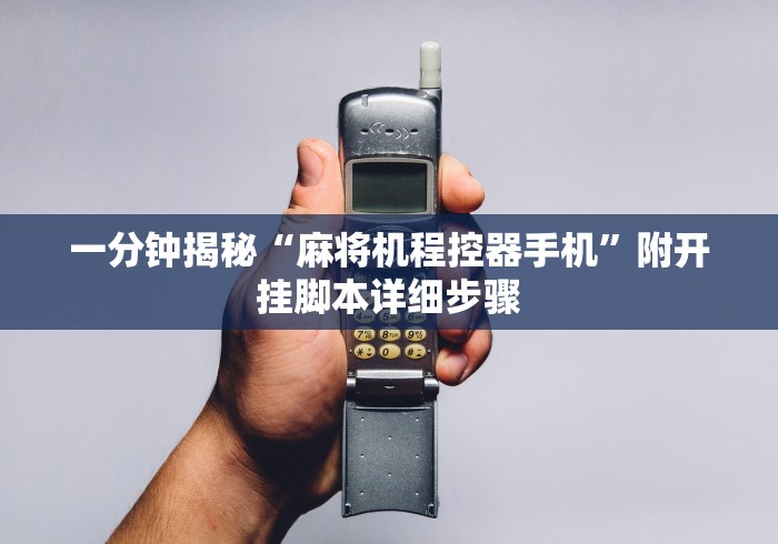 一分钟揭秘“麻将机程控器手机”附开挂脚本详细步骤