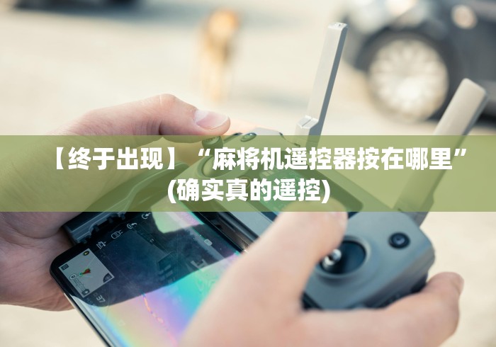 【终于出现】“麻将机遥控器按在哪里”(确实真的遥控)