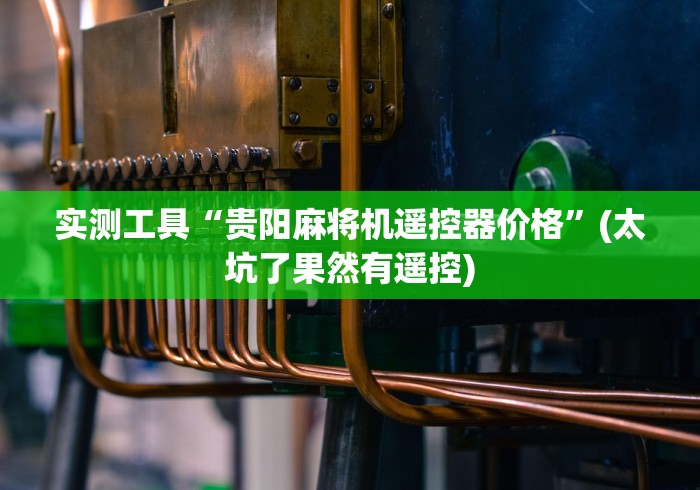 实测工具“贵阳麻将机遥控器价格”(太坑了果然有遥控)