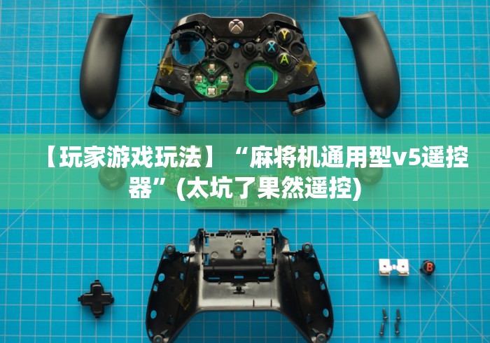 【玩家游戏玩法】“麻将机通用型v5遥控器”(太坑了果然遥控)