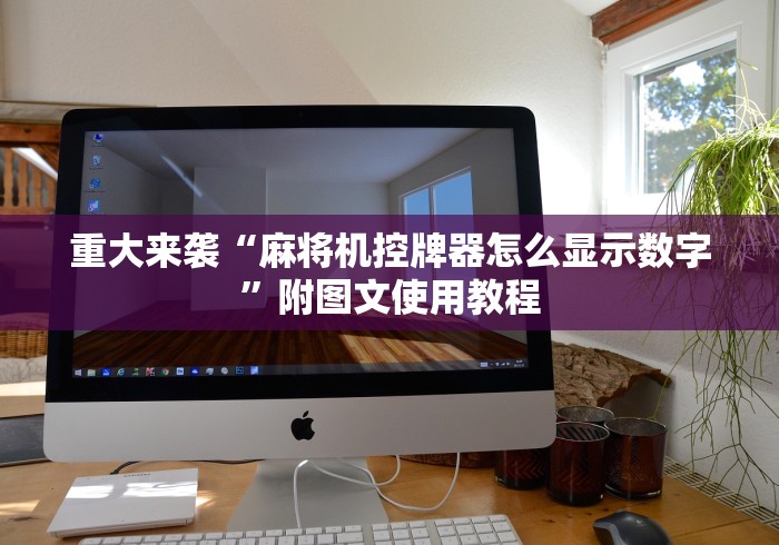 重大来袭“麻将机控牌器怎么显示数字”附图文使用教程 重大来袭“麻将机控牌器怎么显示数字”附图文使用教程