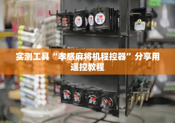 实测工具“孝感麻将机程控器”分享用遥控教程