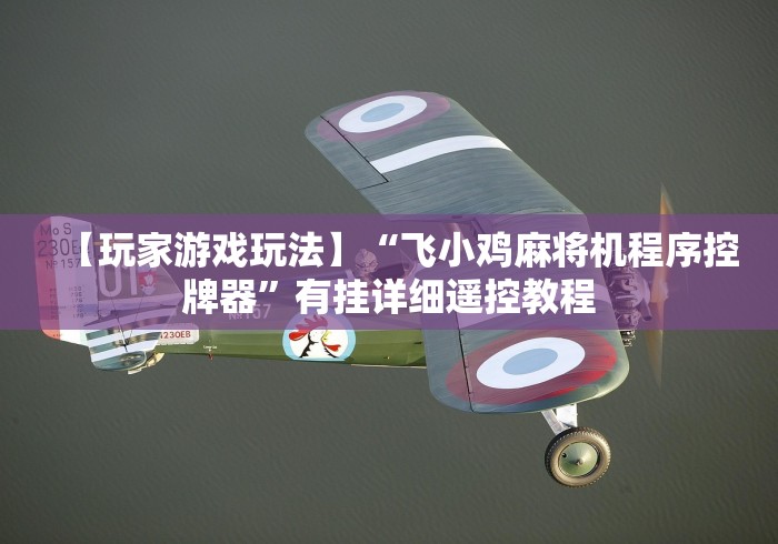 【玩家游戏玩法】“飞小鸡麻将机程序控牌器”有挂详细遥控教程
